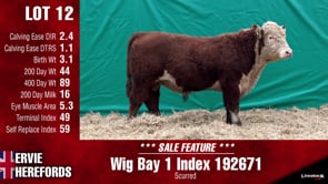 Lot #12 - WIG BAY 1 INDEX 192671