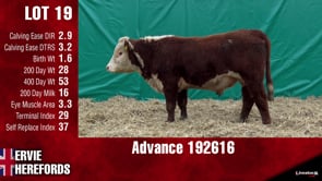 Lot #19 - ADVANCE 192616