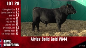 Lot #28 - AIRIES SOLID GOLD V644