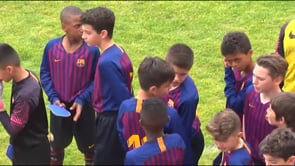 La vintena edició del MIC haurà d'esperar