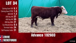 Lot #34 - ADVANCE 192603