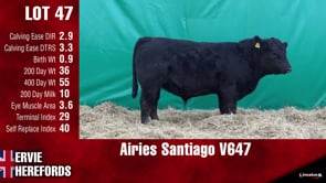Lot #47 - AIRIES SANTIAGO V647