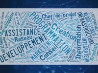 Spécialité NSI les métiers du numérique
