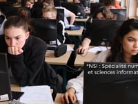 Spécialité_NSI - Pourquoi choisir NSI au bac