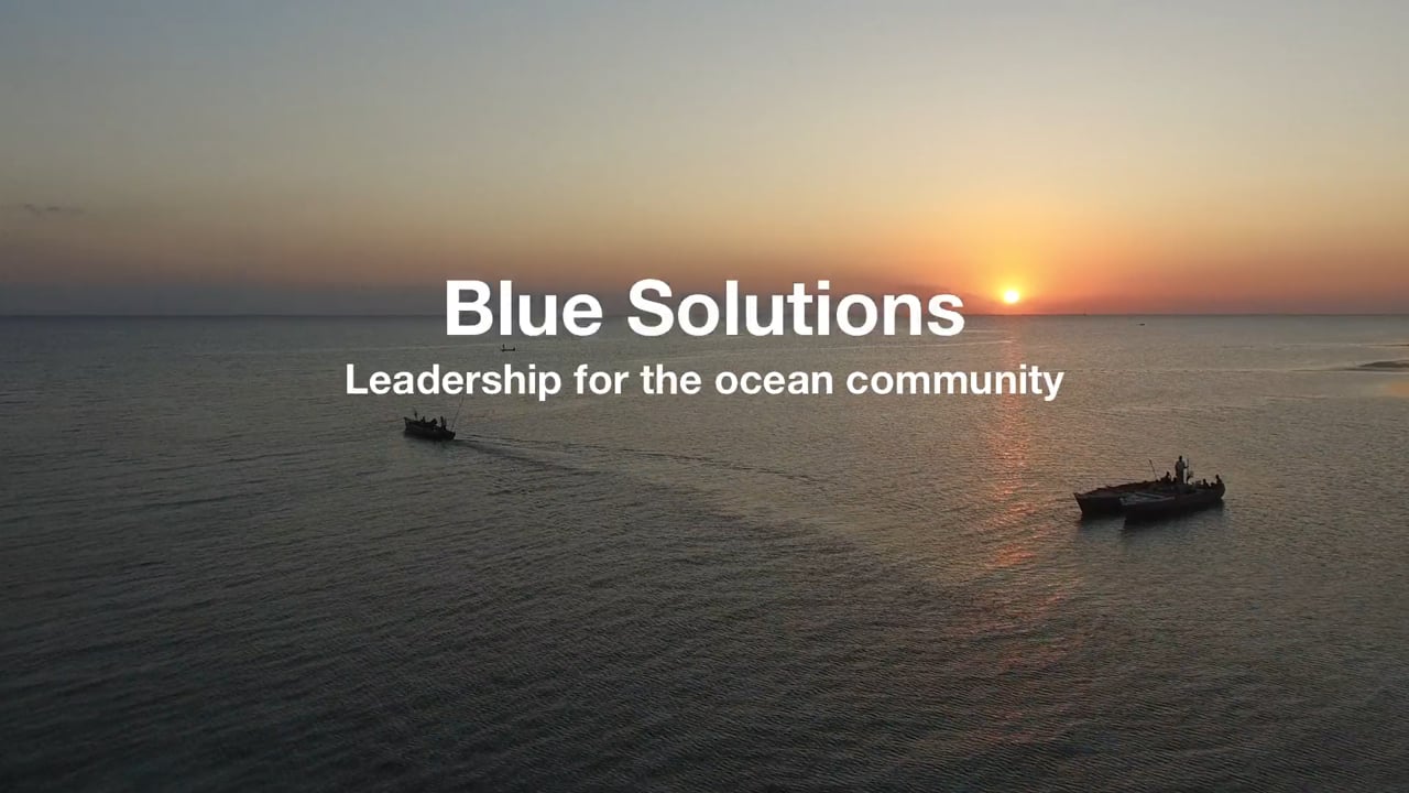 Join our Blue Leadership Journey