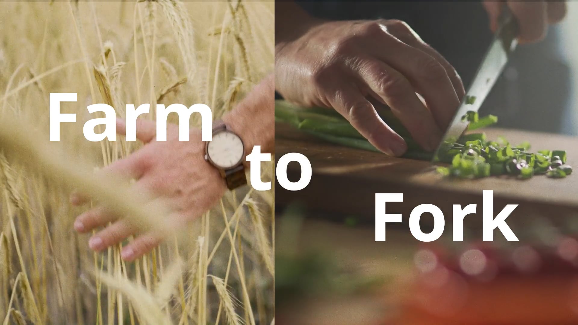 Promotional video for Farm To Fork