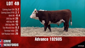 Lot #49 - ADVANCE 192685