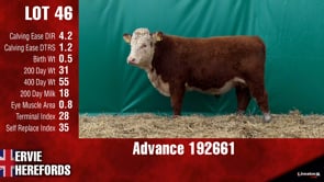 Lot #46 - ***OUT*** ADVANCE 192661