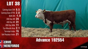 Lot #38 - ADVANCE 192554