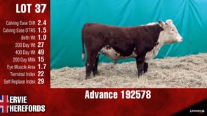 Lot #37 - ADVANCE 192578