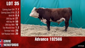 Lot #35 - ADVANCE 192566