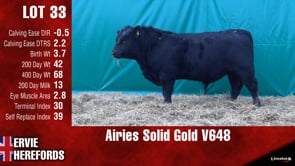 Lot #33 - AIRIES SOLID GOLD V648