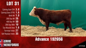 Lot #31 - ADVANCE 192656