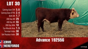 Lot #30 - ADVANCE 192556