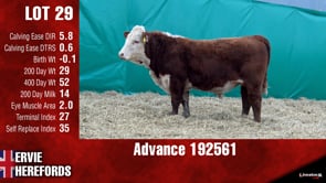 Lot #29 - ADVANCE 192561
