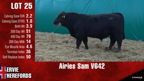 Lot #25 - AIRIES SAM V642