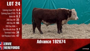 Lot #24 - ***OUT*** ADVANCE 192674