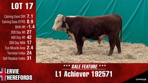 Lot #17 - L1 ACHIEVER 192571