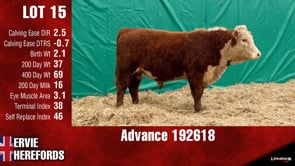 Lot #15 - ADVANCE 192618