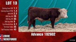 Lot #13 - ADVANCE 192602