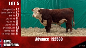 Lot #5 - ***OUT*** ADVANCE 192560