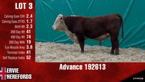 Lot #3 - ***OUT*** ADVANCE 192613