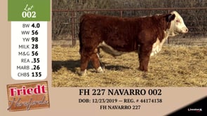 Lot #002 - FH 227 NAVARRO 002