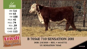 Lot #20H - B 7056E 710 SENSATION 20H