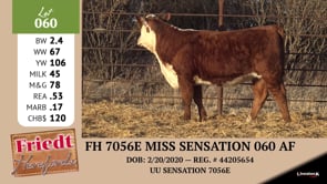 Lot #060 - FH 7056E MISS SENSATION 060 AF