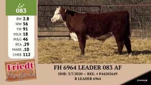 Lot #083 - FH 6964 LEADER 083 AF