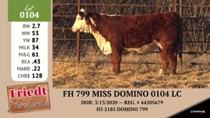 Lot #0104 - FH 799 MISS DOMINO 0104 LC