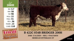 Lot #200H - B 422C 034B BRIDGER 200H
