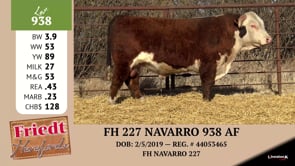 Lot #938 - FH 227 NAVARRO 938 AF