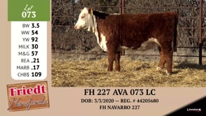 Lot #073 - FH 227 AVA 073 LC