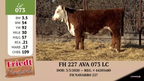 Lot #073 - FH 227 AVA 073 LC