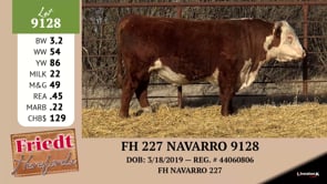 Lot #9128 - FH 227 NAVARRO 9128