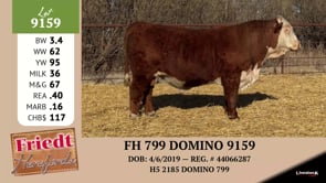 Lot #9159 - FH 799 DOMINO 9159