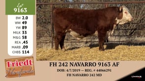 Lot #9163 - FH 242 NAVARRO 9163 AF