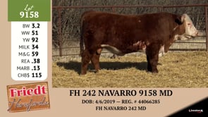Lot #9158 - FH 242 NAVARRO 9158 MD