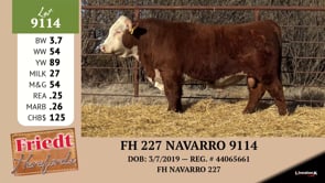 Lot #9114 - FH 227 NAVARRO 9114