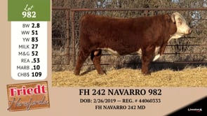Lot #982 - FH 242 NAVARRO 982
