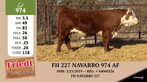 Lot #974 - FH 227 HAVARRO 974 AF