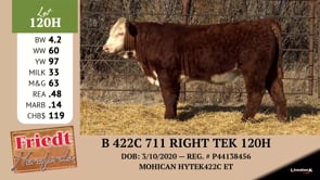 Lot #120H - B 422C 711 RIGHT TEK 120H