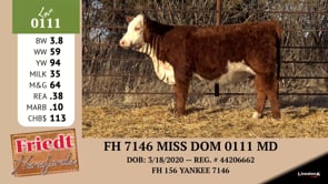 Lot #0111 - FH 7146 MISS DOM 0111 MD