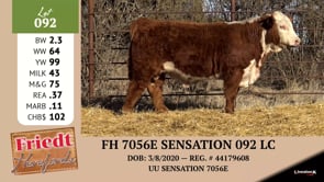 Lot #092 - FH 7056E SENSATION 092 LC
