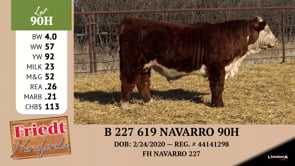 Lot #90H - B 227 619 NAVARRO 90H