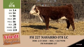 Lot #078 - FH 227 NAVARRO 078 LC