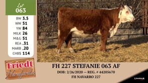 Lot #063 - FH 227 STEFANIE 063 AF
