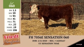 Lot #060 - FH 7056E SENSATION 060