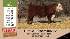 Lot #059 - FH 7056E SENSATION 059